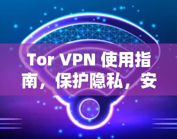 Tor VPN 使用指南，保护隐私，安全上网