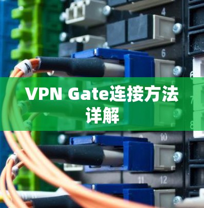 VPN Gate连接方法详解