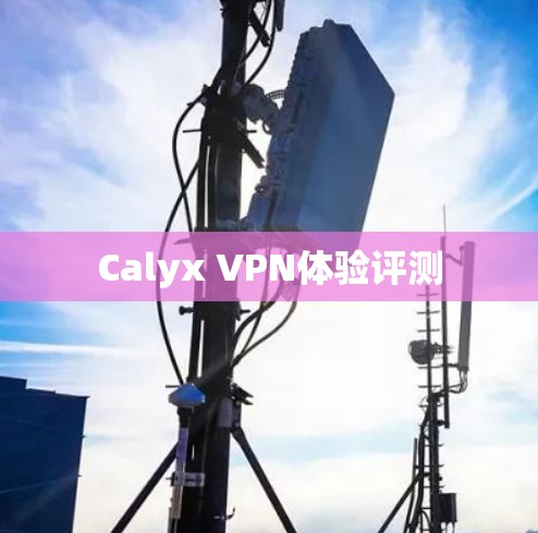 Calyx VPN体验评测