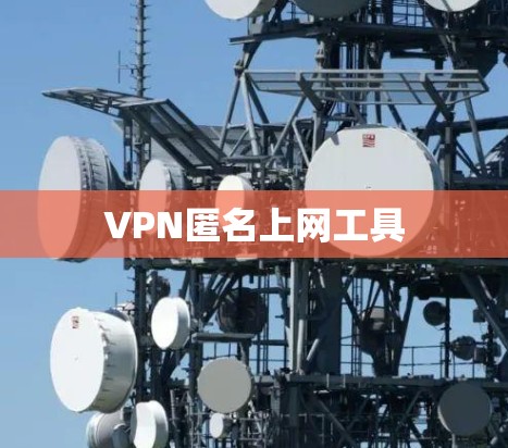 VPN匿名上网工具