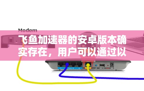 飞鱼加速器的安卓版本确实存在，用户可以通过以下步骤下载和安装