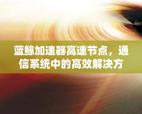 蓝鲸加速器高速节点，通信系统中的高效解决方案