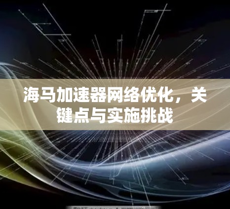 海马加速器网络优化，关键点与实施挑战