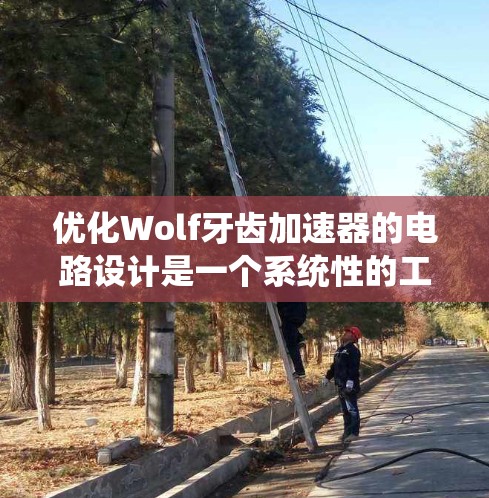 优化Wolf牙齿加速器的电路设计是一个系统性的工程，需要从多个方面入手，确保最终产品的高效性和可靠性。以下是分步骤的优化策略