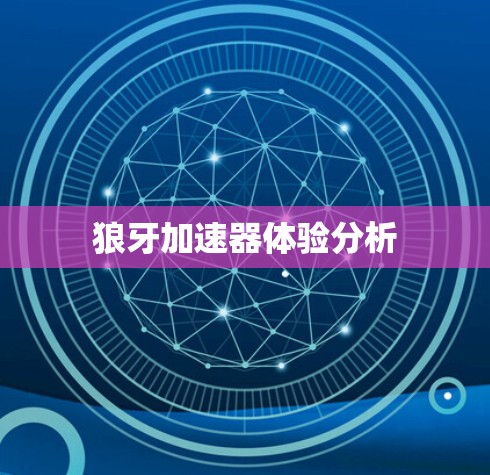 狼牙加速器体验分析
