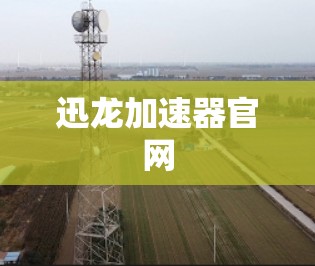 迅龙加速器官网