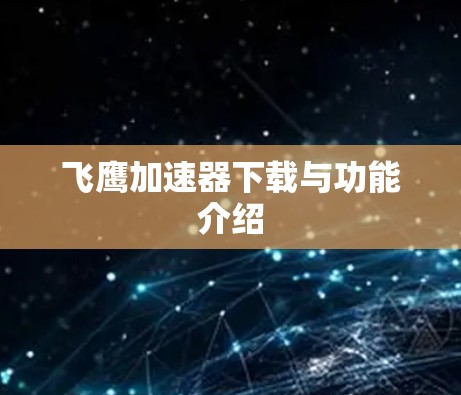 飞鹰加速器下载与功能介绍