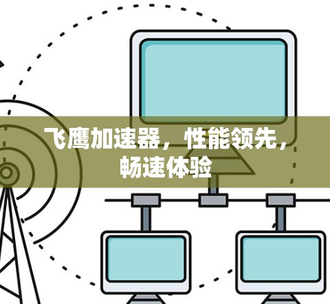 飞鹰加速器，性能领先，畅速体验