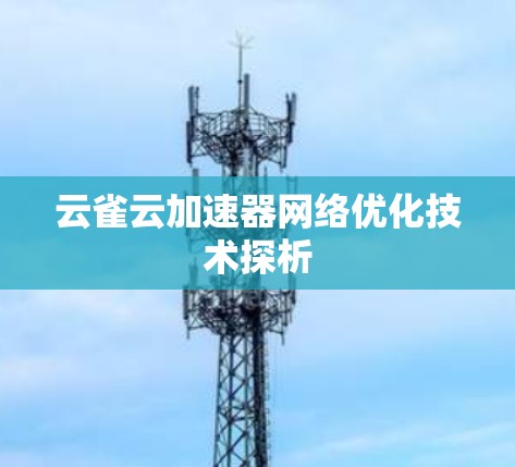 云雀云加速器网络优化技术探析