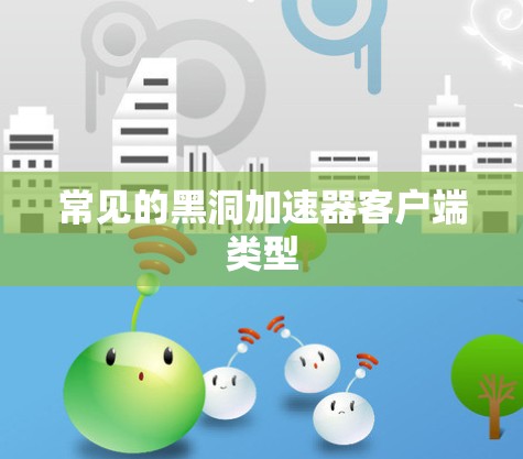 常见的黑洞加速器客户端类型