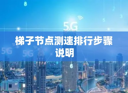 梯子节点测速排行步骤说明