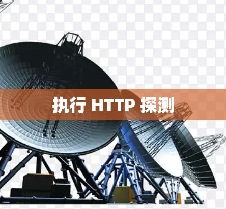 执行 HTTP 探测