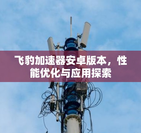 飞豹加速器安卓版本，性能优化与应用探索
