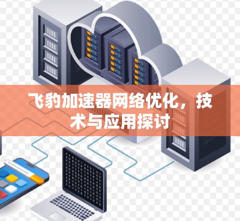 飞豹加速器网络优化，技术与应用探讨