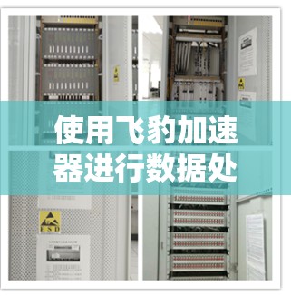 使用飞豹加速器进行数据处理任务的步骤总结