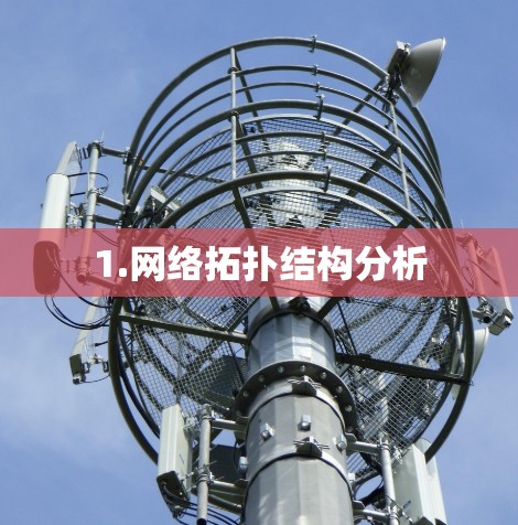 1.网络拓扑结构分析