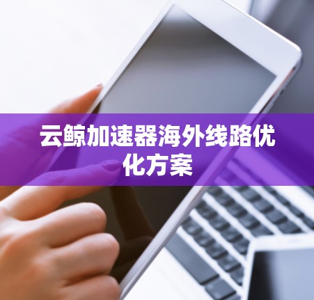 云鲸加速器海外线路优化方案