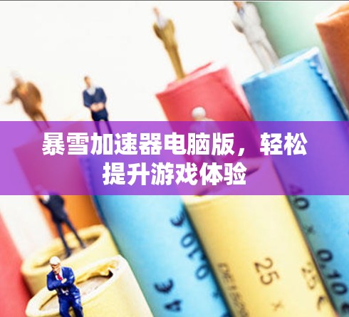 暴雪加速器电脑版，轻松提升游戏体验