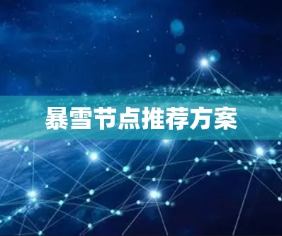 暴雪节点推荐方案