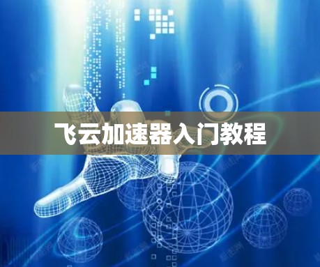 飞云加速器入门教程