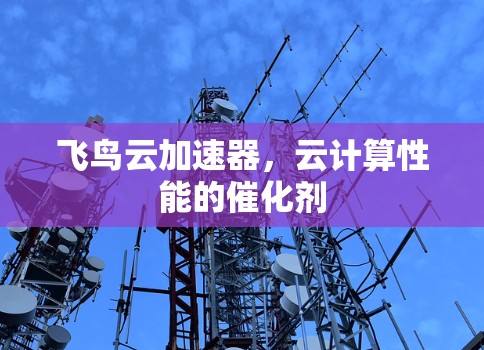 飞鸟云加速器，云计算性能的催化剂