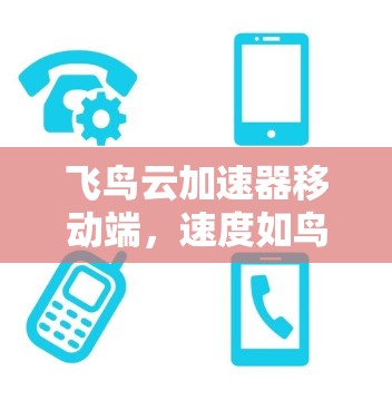 飞鸟云加速器移动端，速度如鸟翔