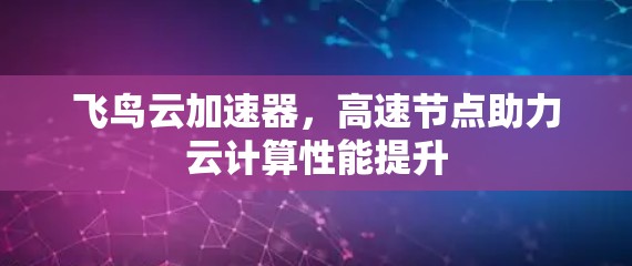 飞鸟云加速器，高速节点助力云计算性能提升