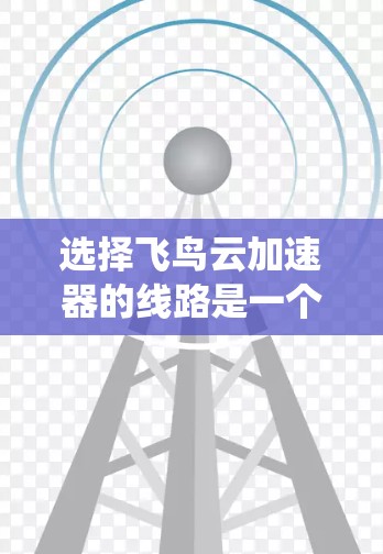 选择飞鸟云加速器的线路是一个涉及多方面考量的复杂任务，以下是系统的步骤和建议