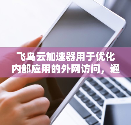 飞鸟云加速器用于优化内部应用的外网访问，通常通过多种技术手段实现。以下是解决其外网访问问题的分步指南