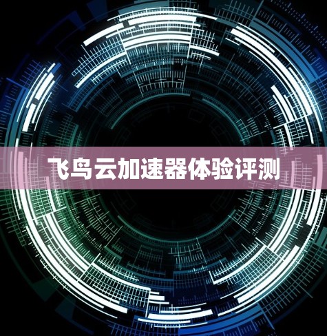 飞鸟云加速器体验评测