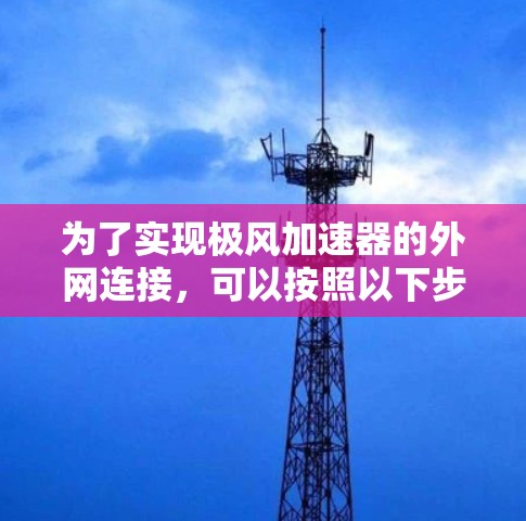 为了实现极风加速器的外网连接，可以按照以下步骤进行配置和测试