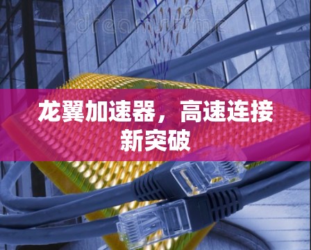 龙翼加速器,高速连接新突破 龙翼加速器,高速连接新突破