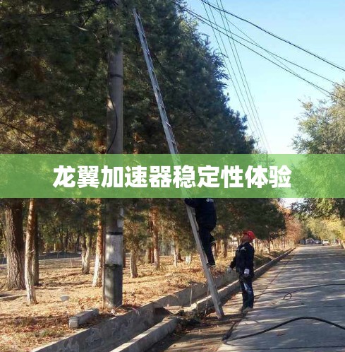 龙翼加速器稳定性体验