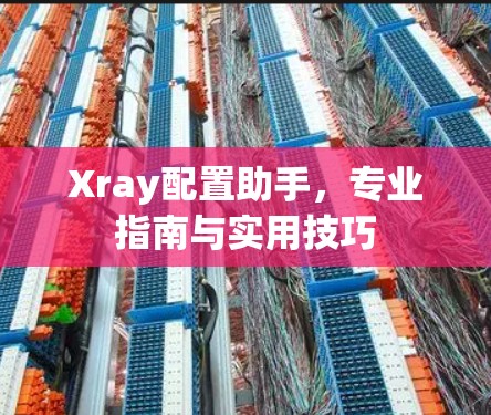 Xray配置助手，专业指南与实用技巧