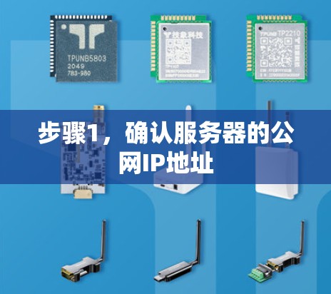 步骤1，确认服务器的公网IP地址