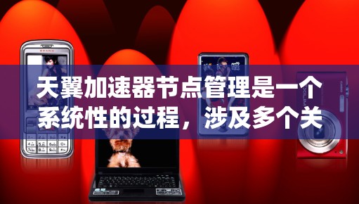 天翼加速器节点管理是一个系统性的过程，涉及多个关键环节。以下是对该过程的详细分步说明
