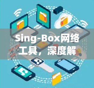 Sing-Box网络工具，深度解析与应用分析