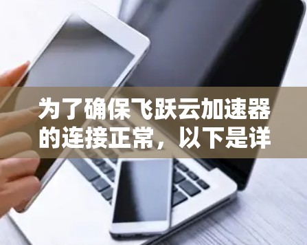 为了确保飞跃云加速器的连接正常，以下是详细的检查步骤