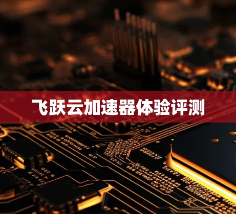 飞跃云加速器体验评测