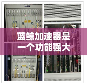 蓝鲸加速器是一个功能强大的开发工具，旨在提升开发效率和代码质量。以下是对蓝鲸加速器的详细分析和总结，帮助您了解其能力和潜在价值