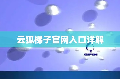 云狐梯子官网入口详解
