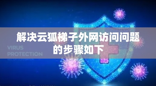 解决云狐梯子外网访问问题的步骤如下