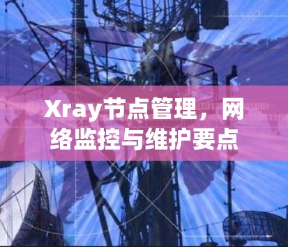 Xray节点管理，网络监控与维护要点
