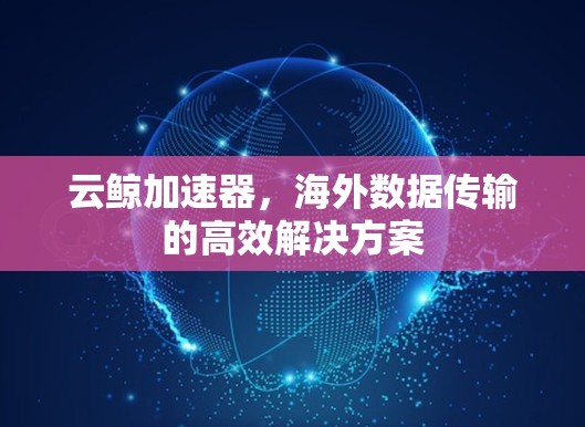 云鲸加速器，海外数据传输的高效解决方案