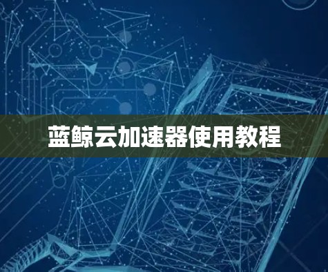 蓝鲸云加速器使用教程