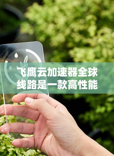 飞鹰云加速器全球线路是一款高性能的云加速服务平台，专为企业和开发者提供全球范围内的快速数据传输和内容分发解决方案。以下是对其的详细分析和总结