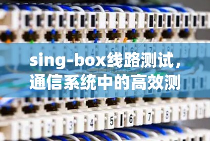 sing-box线路测试，通信系统中的高效测试方案