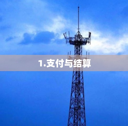 1.支付与结算
