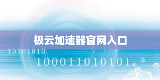 极云加速器官网入口