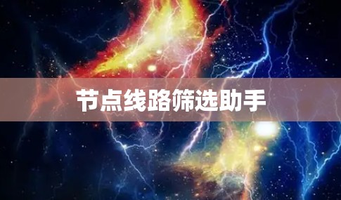 节点线路筛选助手